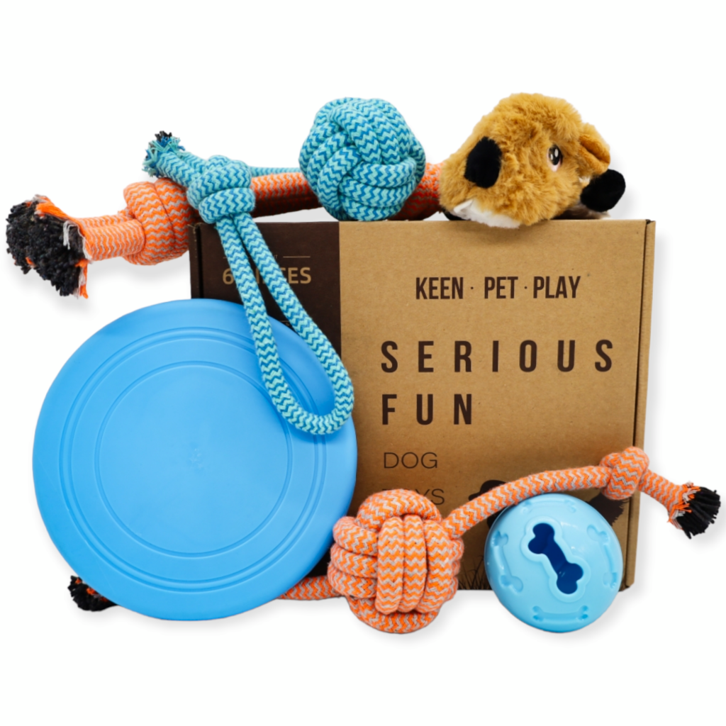 Boredom-Busting Dog Toy Box with Plush Toys, Rope Toys, Frisbee, and Treat  Ball - Perfect Gift for Your Furry Friend
