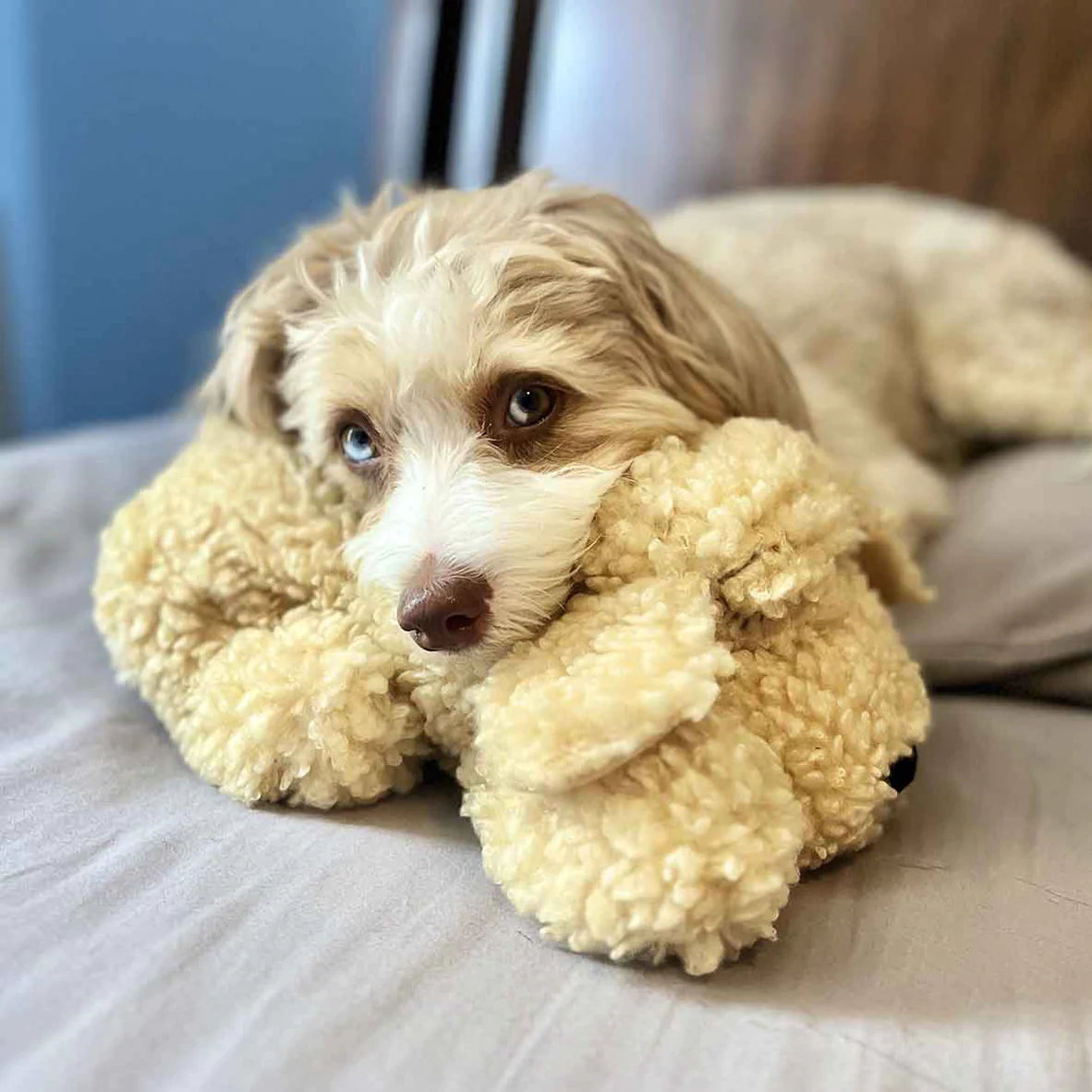 SmartBeat Snuggle Puppy - Doodle