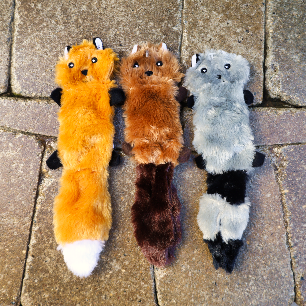 3 pack dog toys
