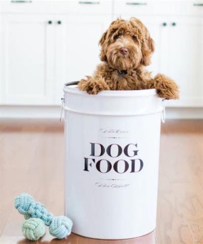 Dog Food Storage Canister - Bon Chien - Little Paws Unleashed