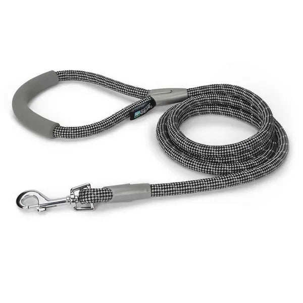 black dog leash