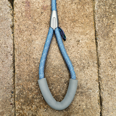blue leash for dogs