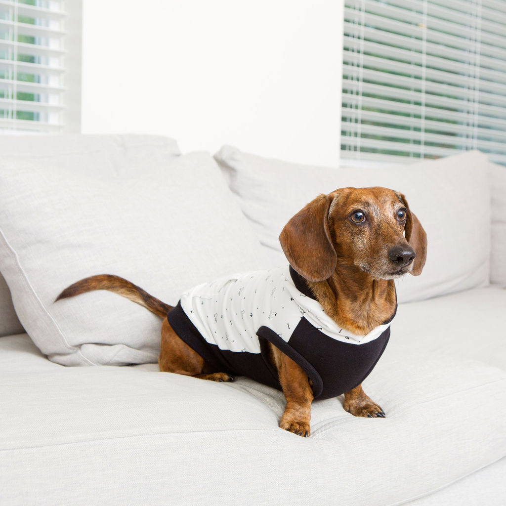 cute dog hoodie