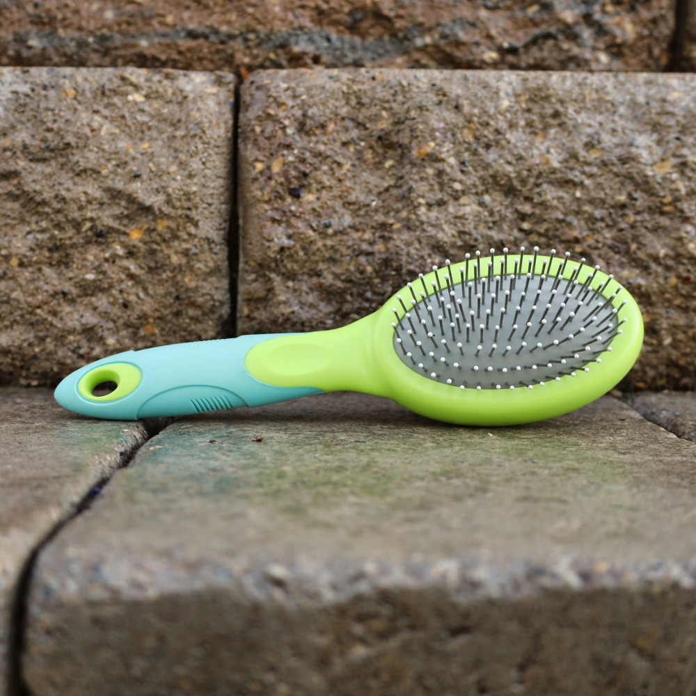 dog grooming brush