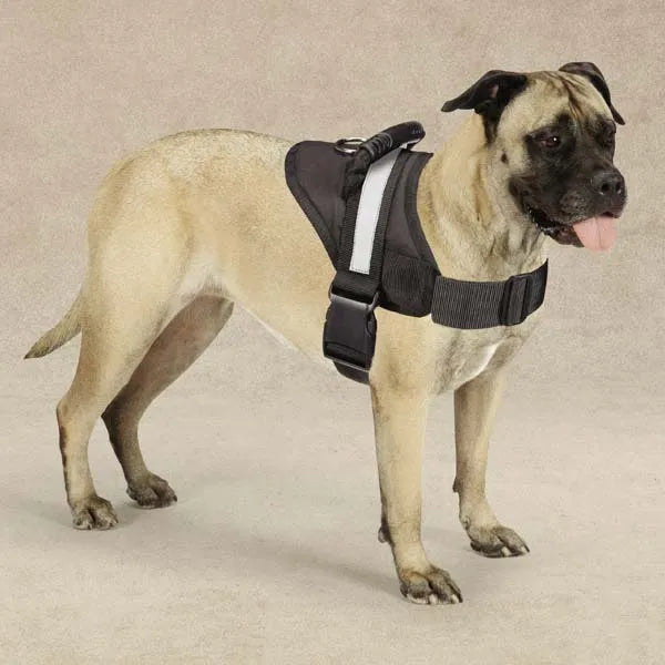 dog harness vest