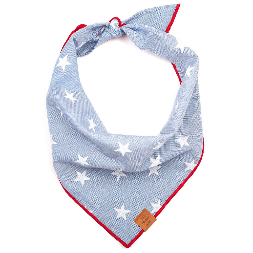 foggy dog bandanas