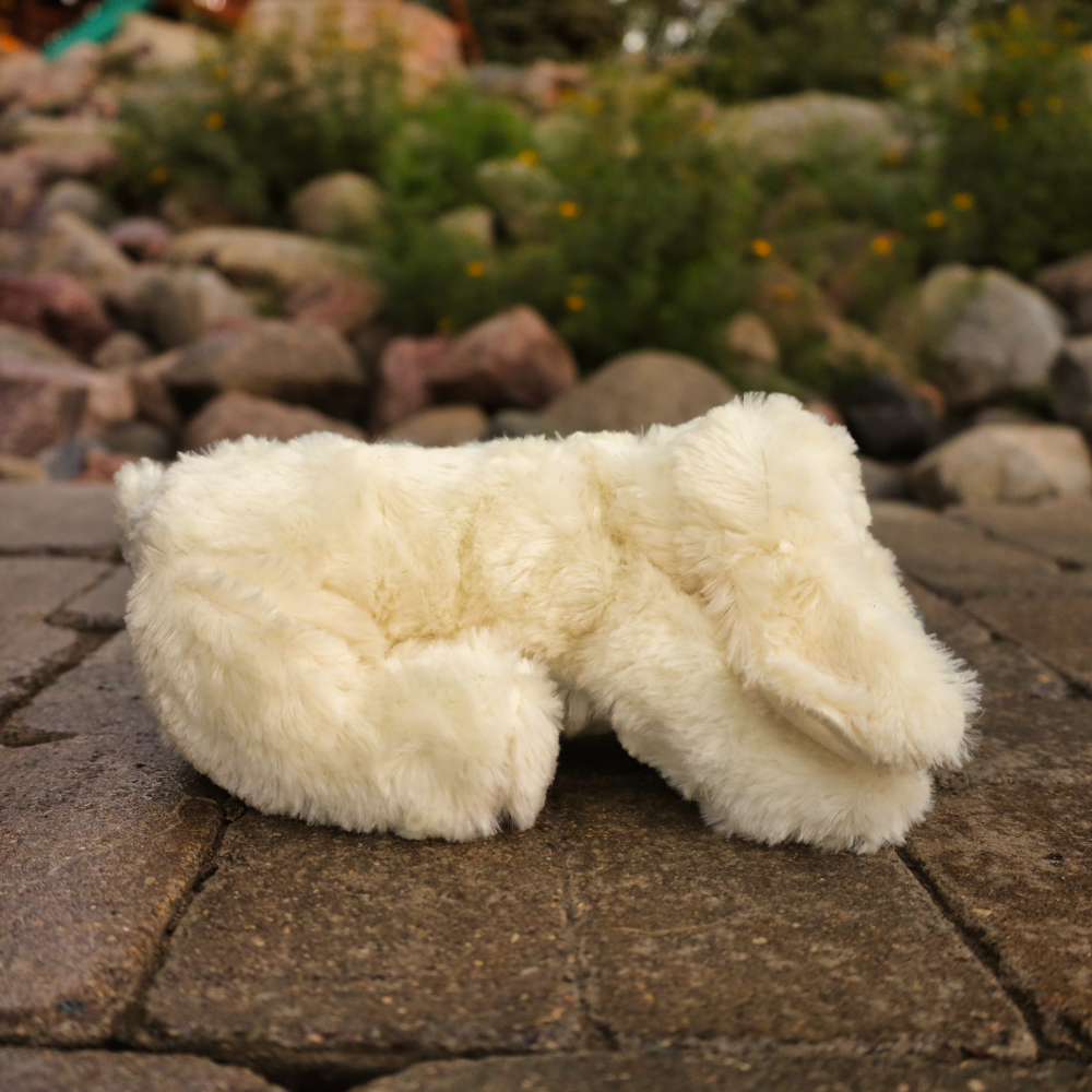 golden snuggle puppy