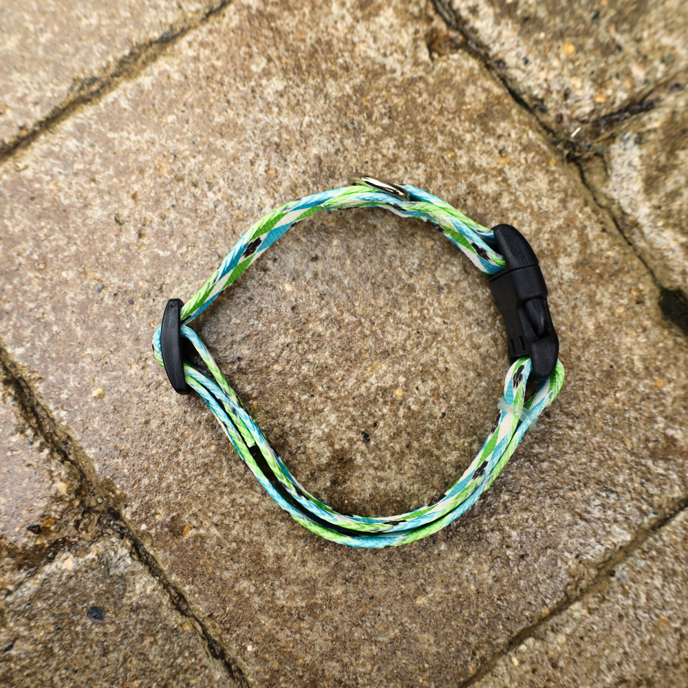 green dog collar with diamonds