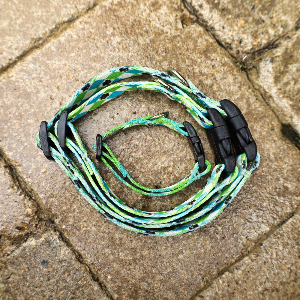 green dog collars