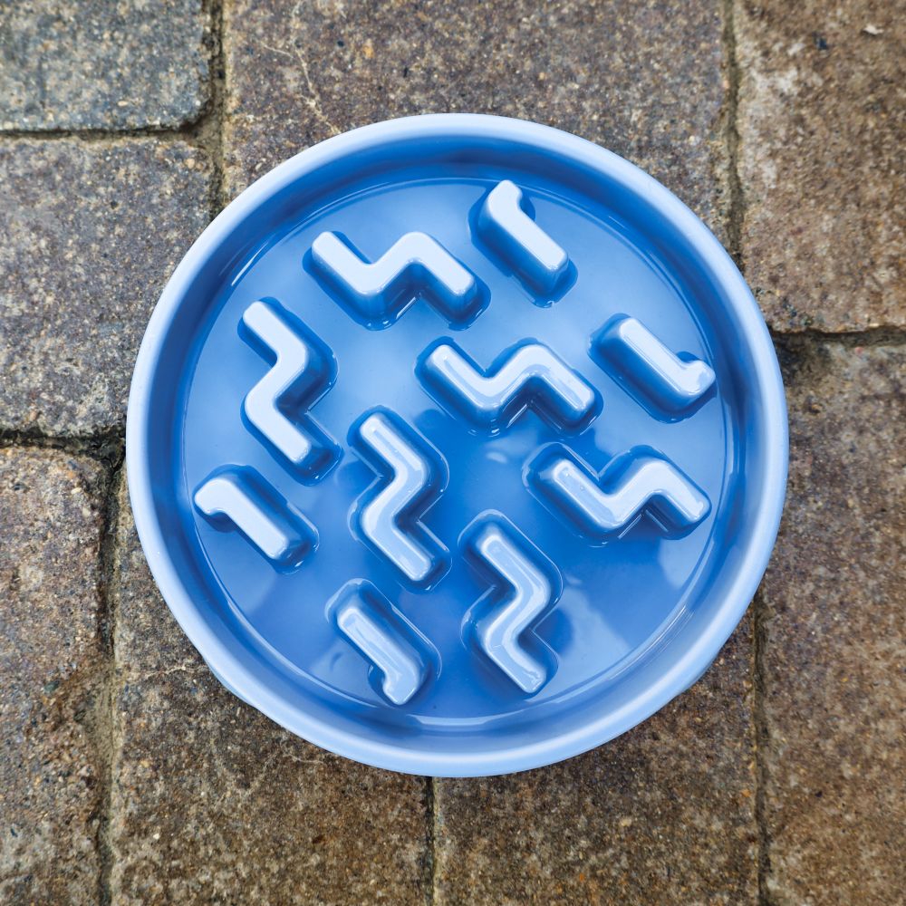 interactive blue dog slow bowl