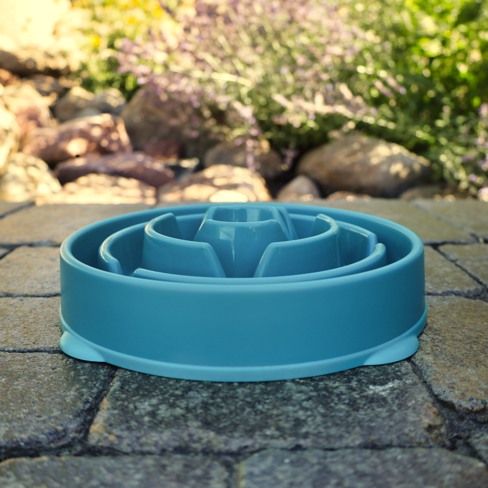 interactive slow turquoise dog feeder