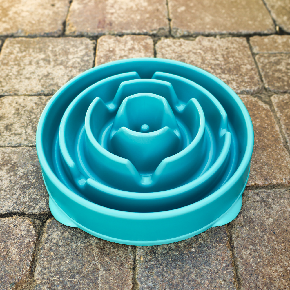 interactive turquoise dog feeder
