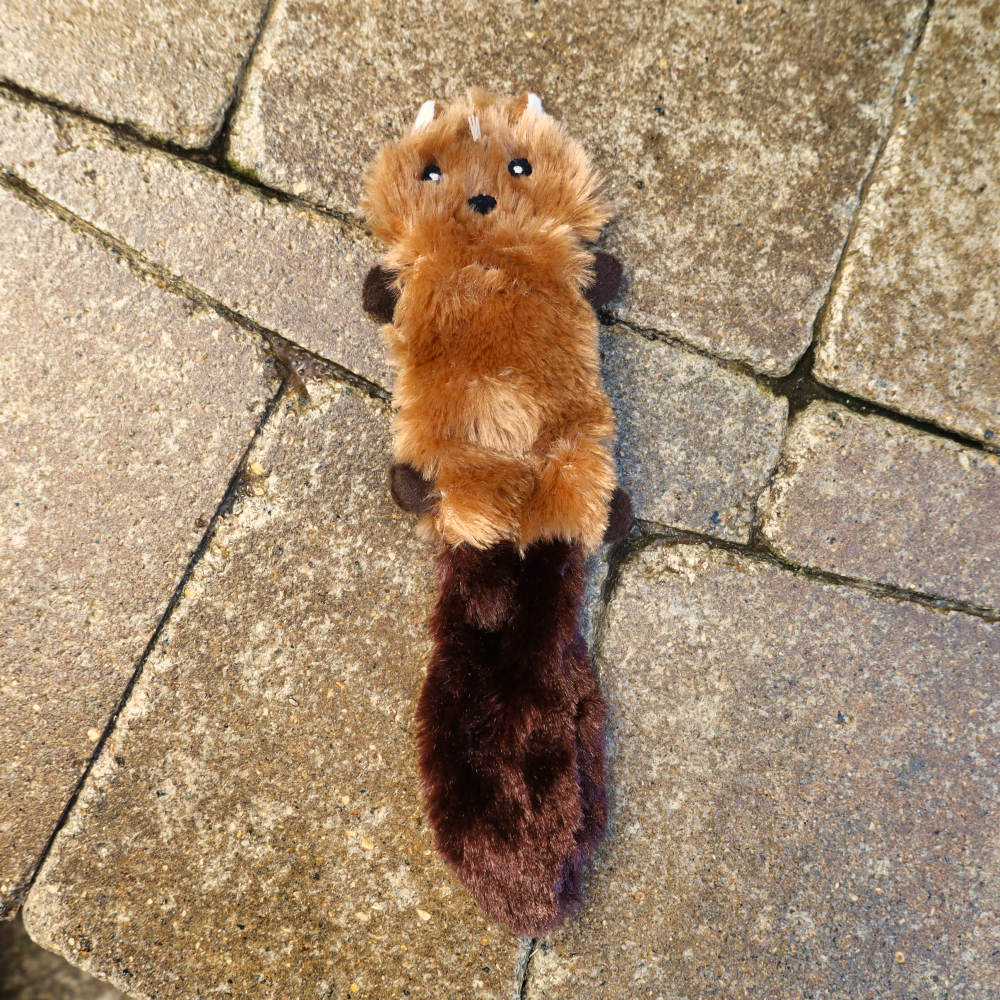 little dog toys