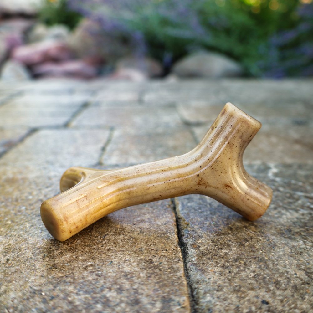 small dog chew toy