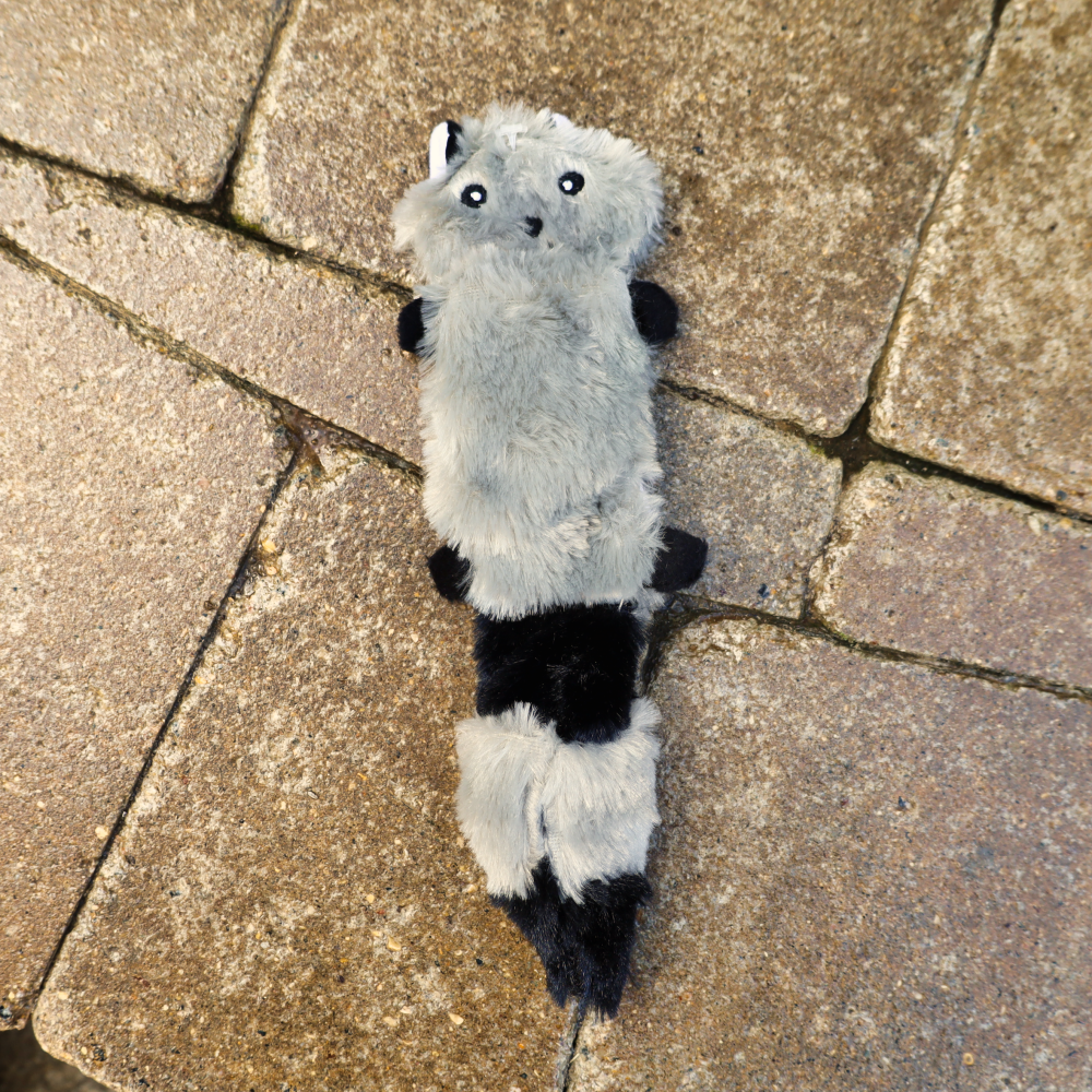 small dog toys