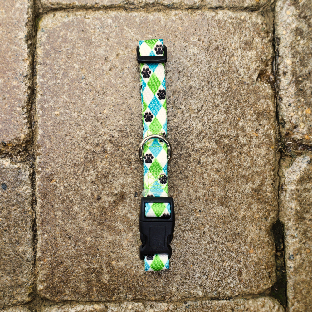 small green dog collars