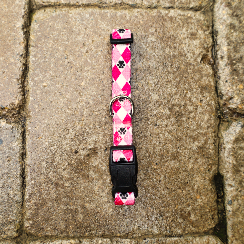 small pink dog collars