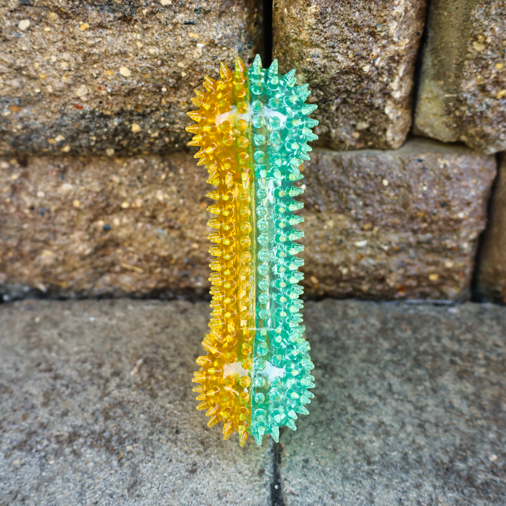spikey dog bone