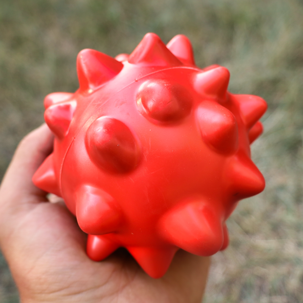 squeaky rubber dog ball