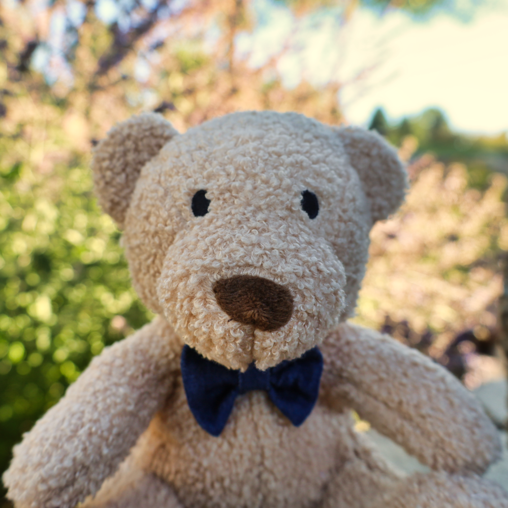 stuffed animals for dogs