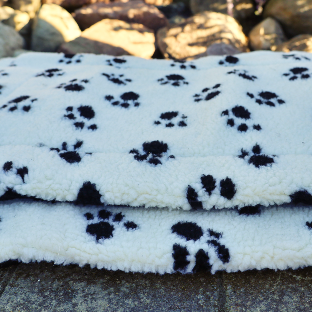 washable dog beds
