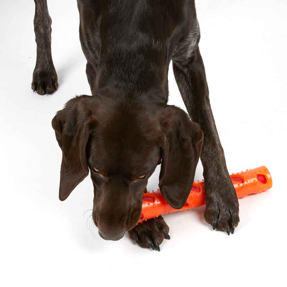 Crinkle Stuff Stick Rubber Dog Toy