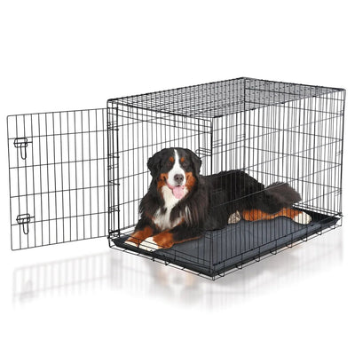 best dog and puppy beds