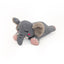 Snooziez with Shhhqueaker - Squeaky Elephant Dog Toy