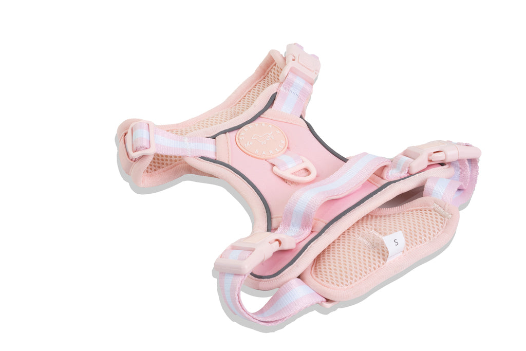 Reflective Dog Harness - 2 Colors