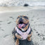 Reflective Dog Harness with Handle | Black, Pink, Lilac, Turquoise