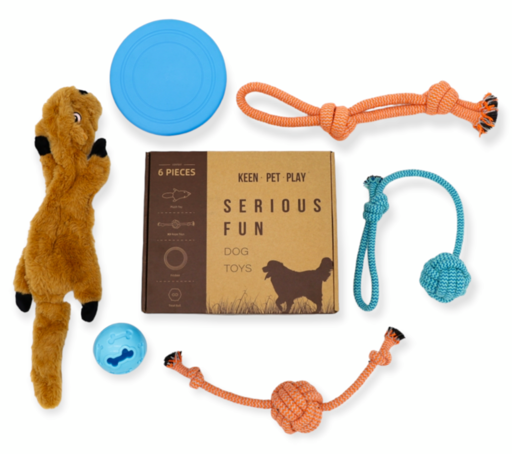 Boredom-Busting Dog Toy Box with Plush Toys, Rope Toys, Frisbee, and T –  Little Paws Unleashed