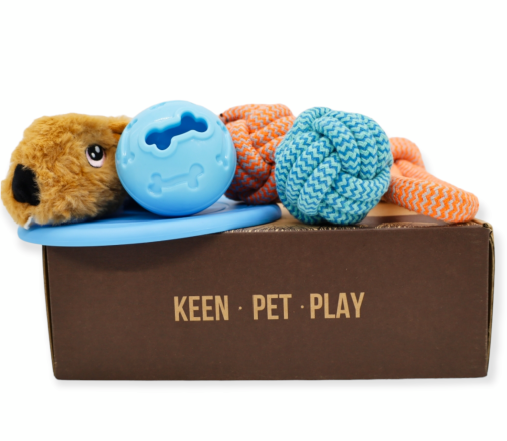 A collection of dog toys including a plush toy, three rope toys, a frisbee, and a treat ball. The toys are designed to relieve boredom and provide entertainment for dogs. This dog toy box is a perfect birthday gift for dog lovers and their furry friends. The toys are brightly colored and made from high-quality materials to ensure durability and long-lasting fun.