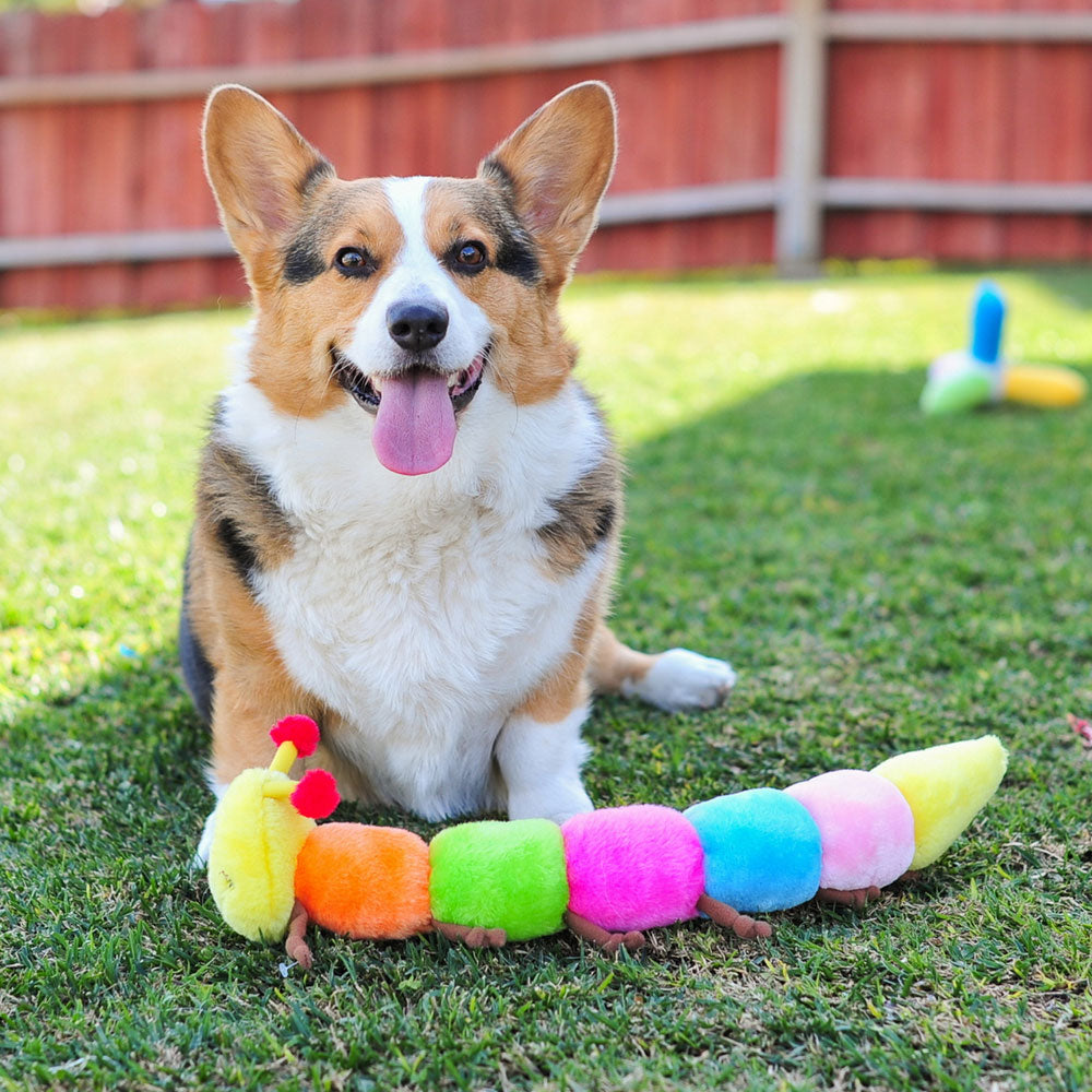 Colorful Caterpillar Squeaker Toy
