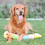 Colorful Caterpillar Squeaker Toy
