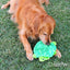 SlowPoke the Turtle Squeakie Crawlers - ZippyPaws Dog Toys