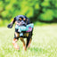 KONG Cozie Animal Dog Toys