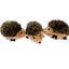 Miniz - 3 Hedgehog Dog Toys