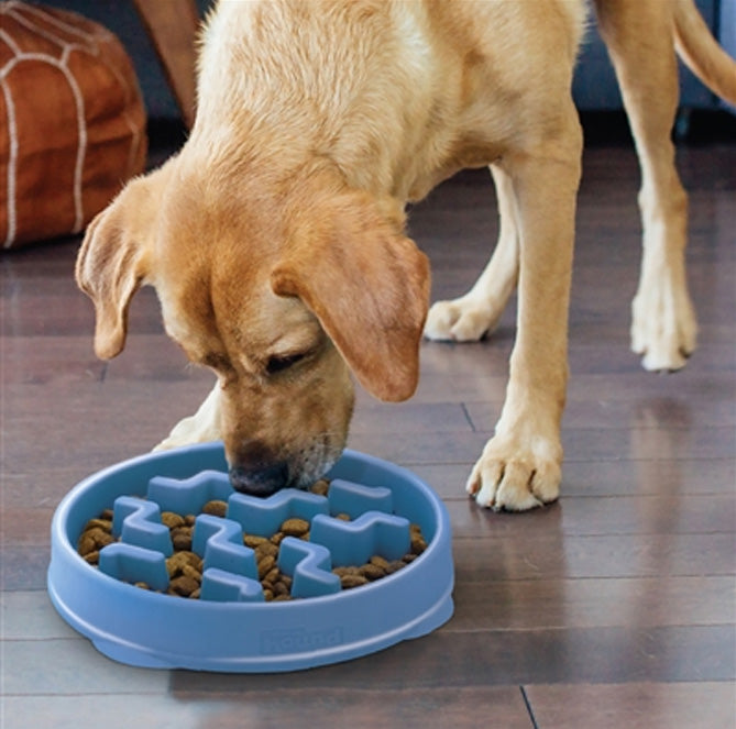 OUTWARD HOUND Fun Feeder Interactive Dog Bowl, Purple, 2 cup 