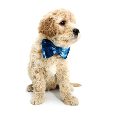 Indigo Mud Cloth Dog Bow Tie - Little Paws Unleashed