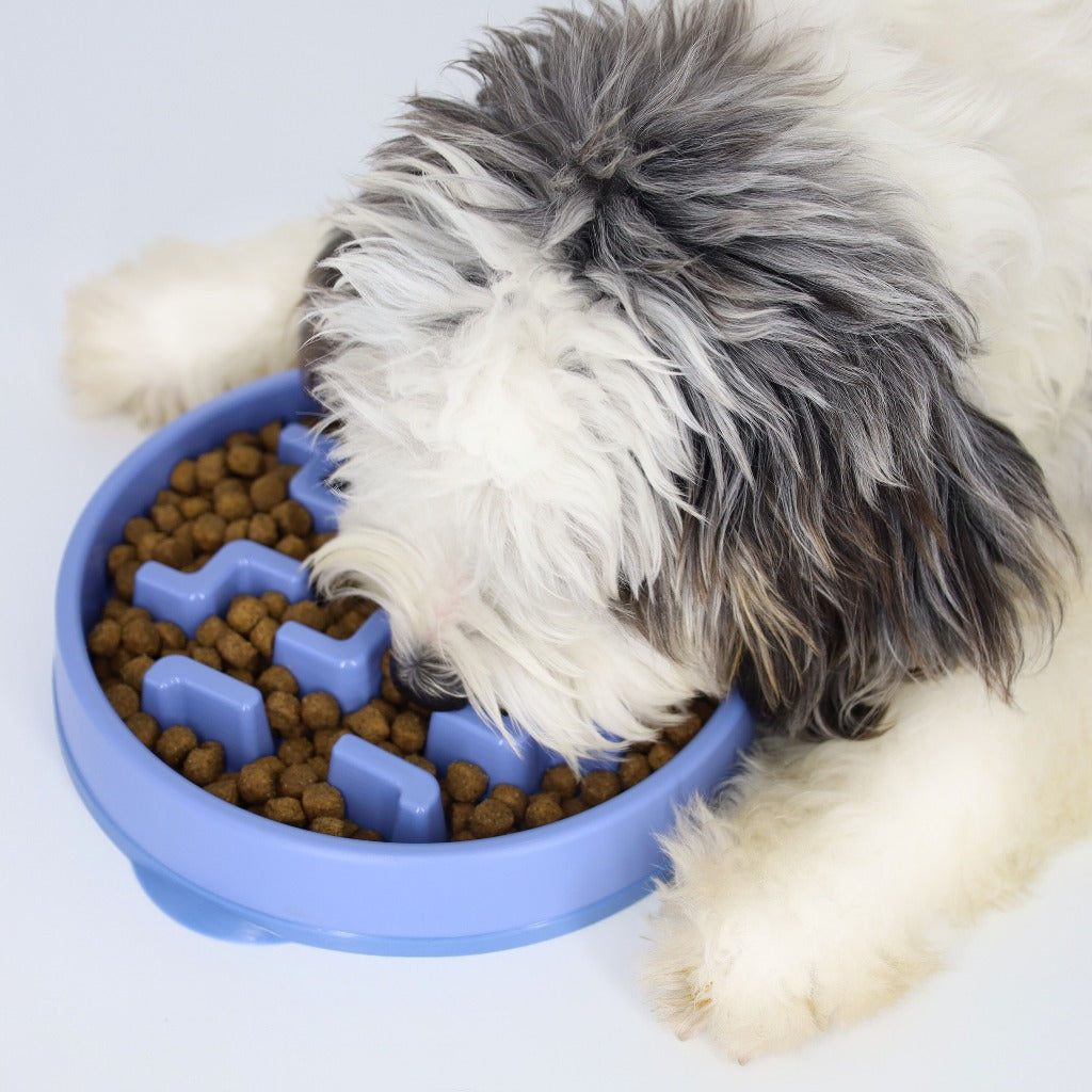 interactive slow dog feeder