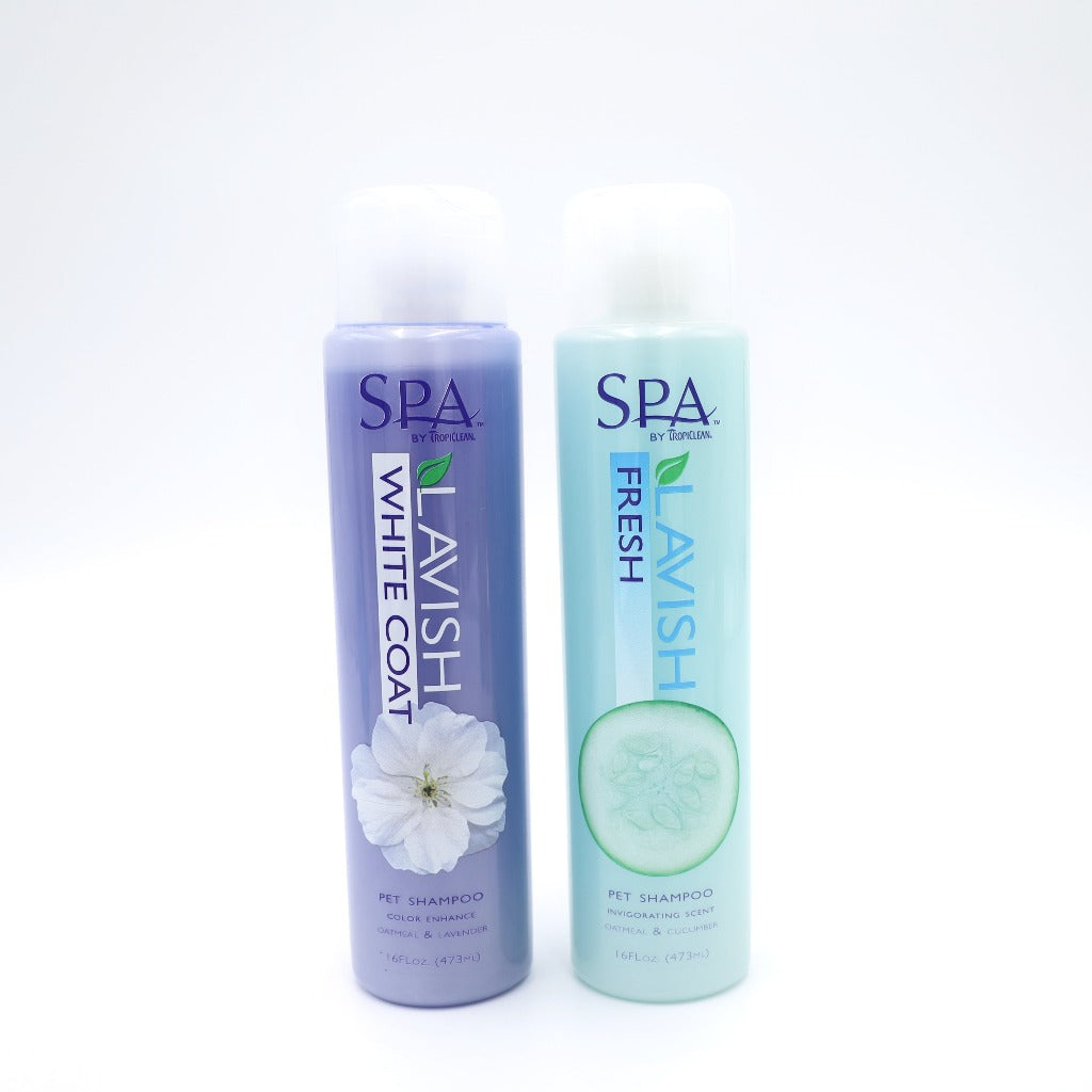 Spa Lavish Shampoo