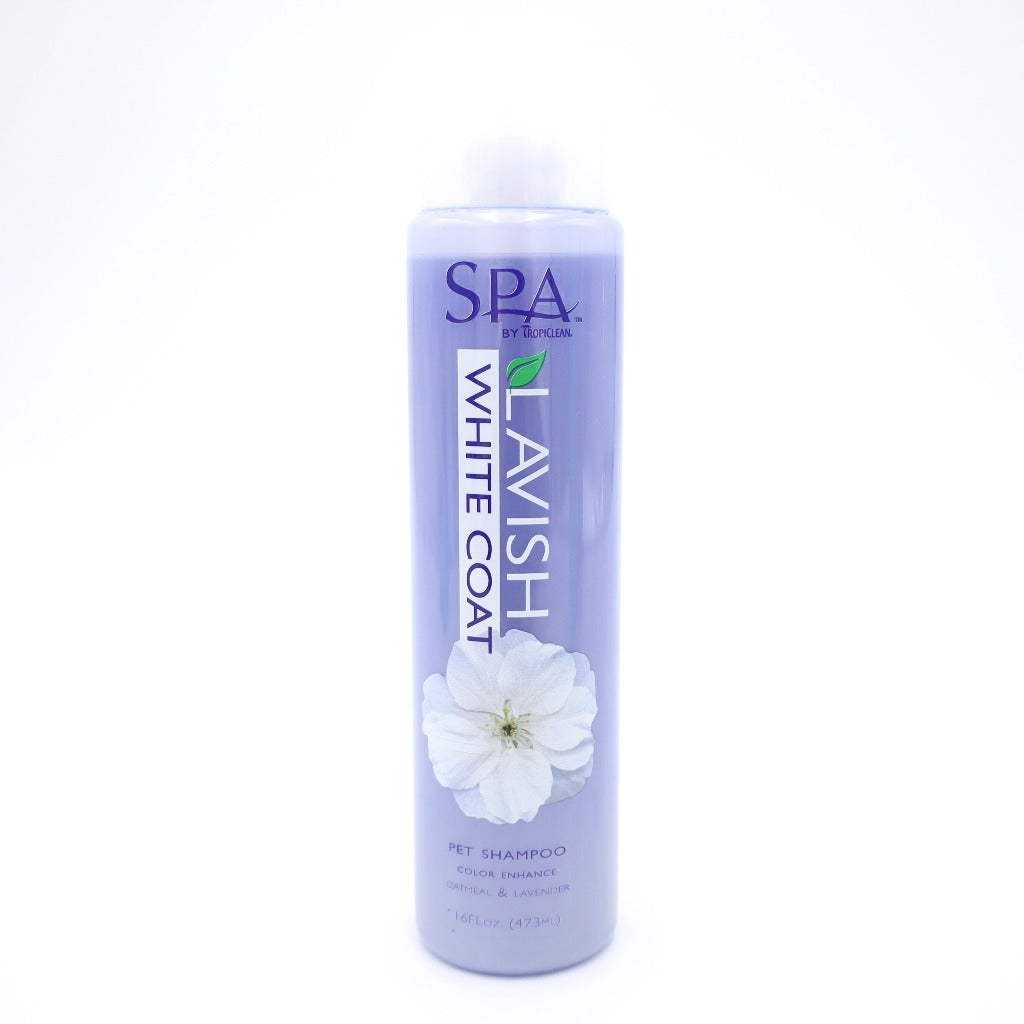 Spa Lavish Shampoo