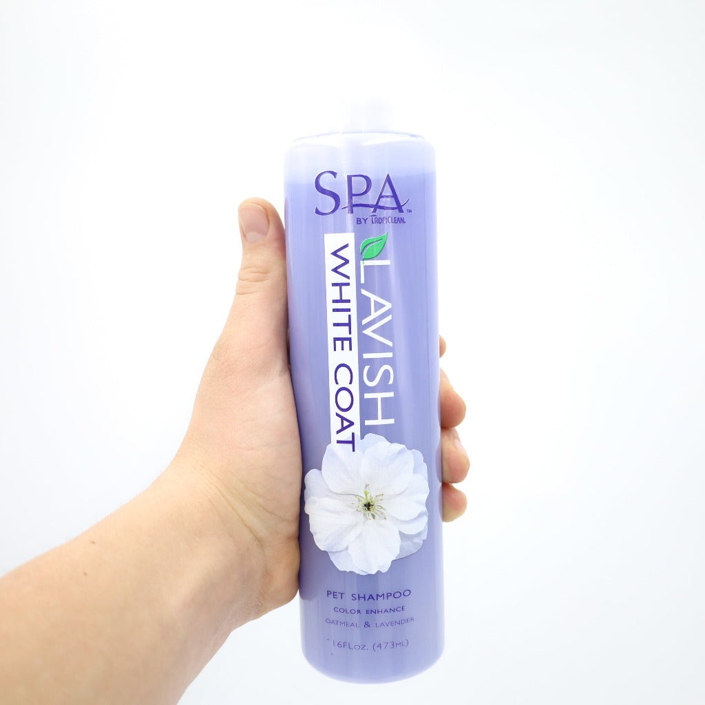 Spa Lavish Shampoo