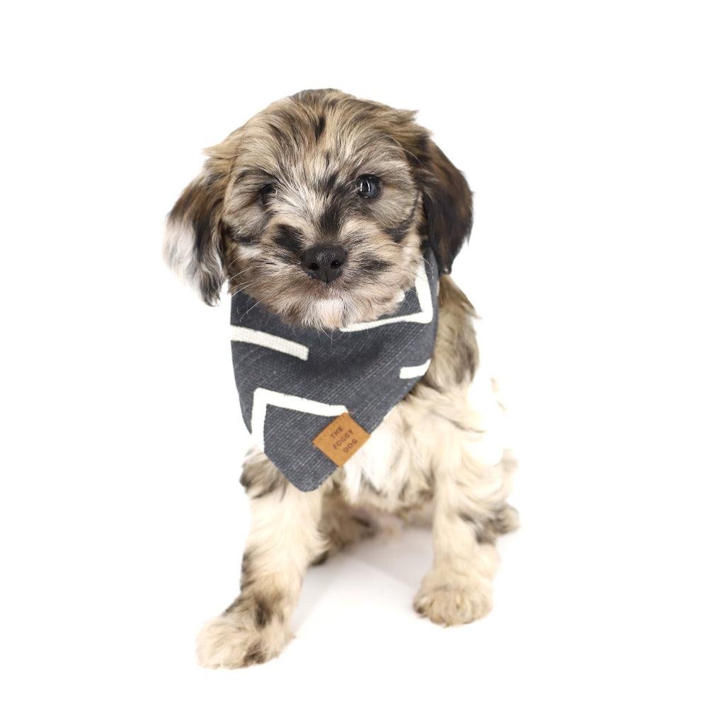 Gray Bandana - Little Paws Unleashed