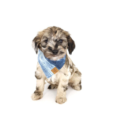 Navy Bandana - Little Paws Unleashed