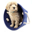 Felt Toy Storage Bin - Little Paws Unleashed