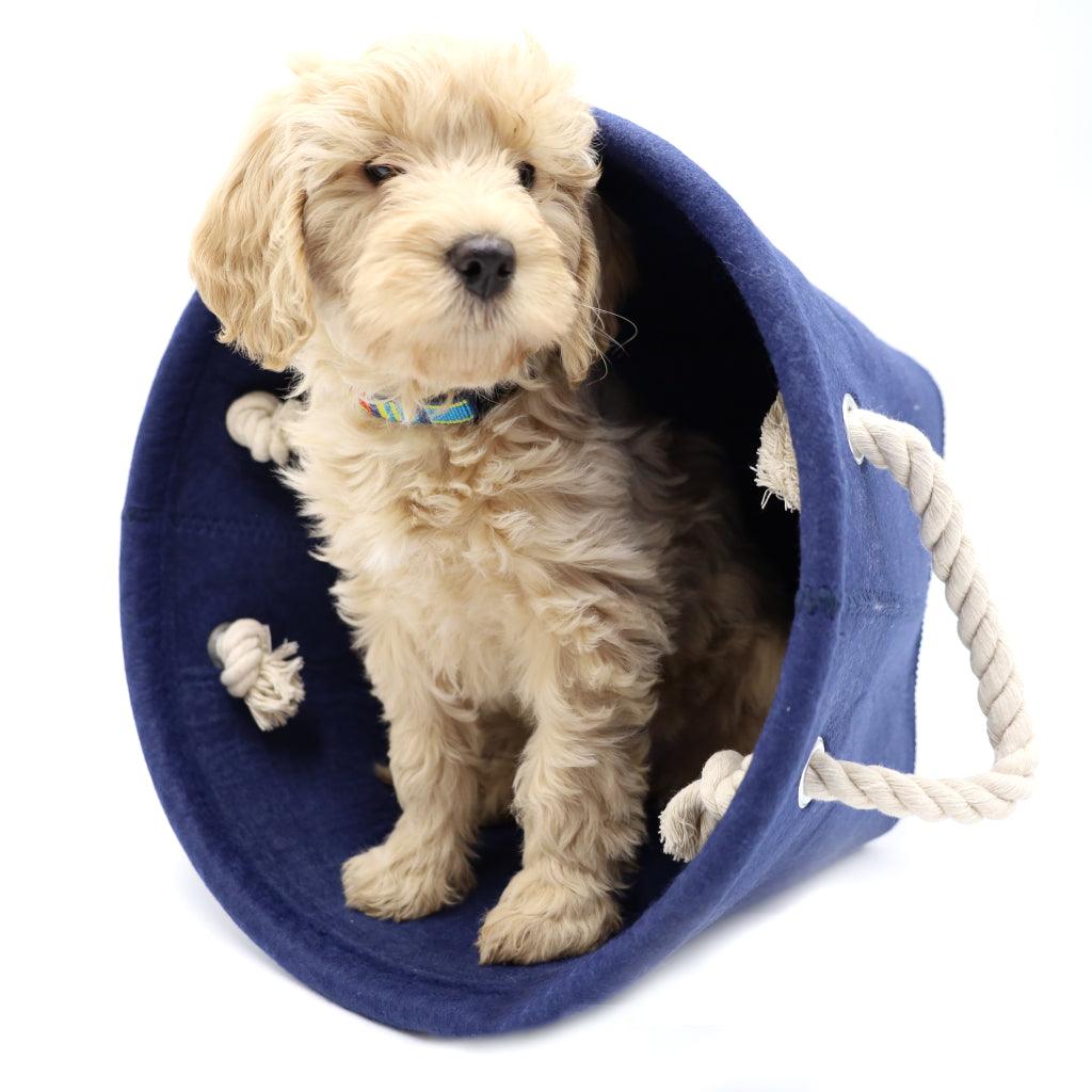 Felt Toy Storage Bin - Little Paws Unleashed