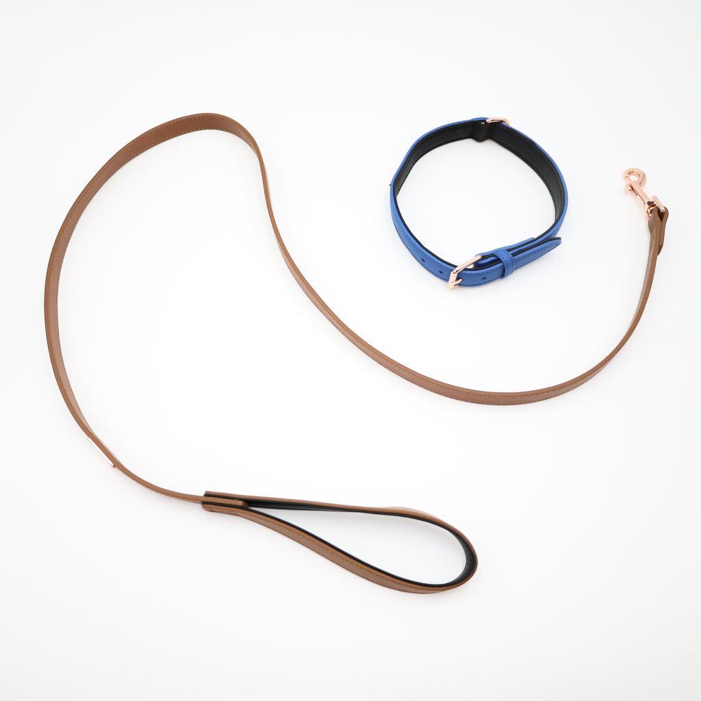Genuine Leather Dog Leash | 5 Foot - Little Paws Unleashed