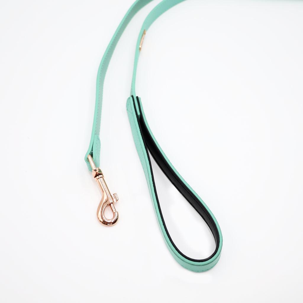Genuine Leather Dog Leash | 5 Foot - Little Paws Unleashed