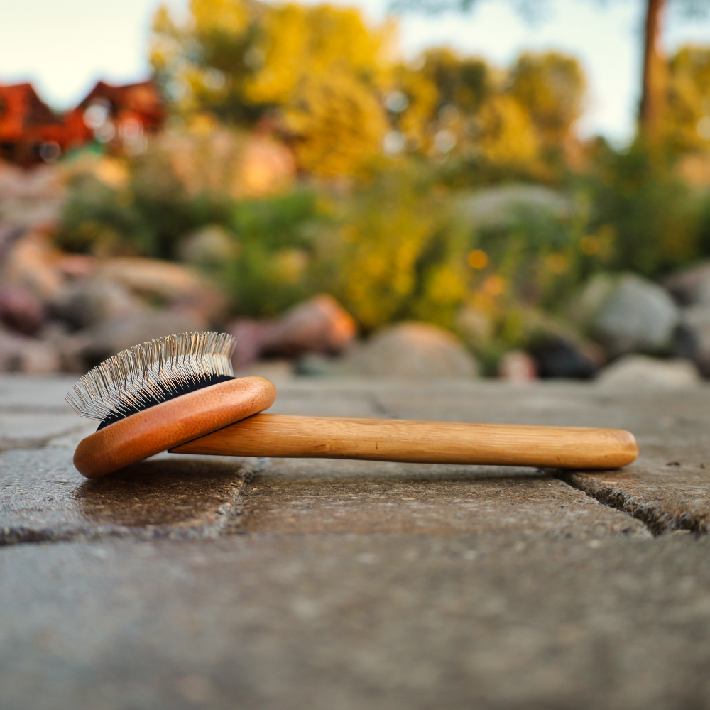 bamboo dog brush